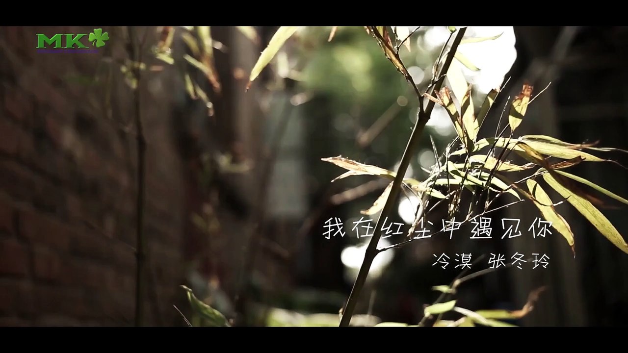 我在紅塵中遇見你 卡拉 OK (Wo Zai Hong Chen Zhong Yu Jian Ni) Karaoke - 張冬玲、冷漠