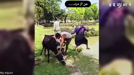 বেকুবদের এসব কান্ডকীর্তি দেখে হাসি থামাতেই পারবেন না 😆 FUNNY VIDEO BANGLA