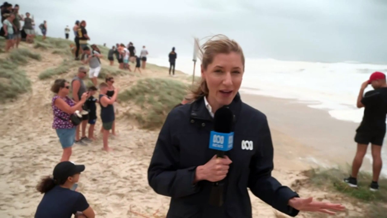 Major insurers across Queensland and New South Wales brace for a surge in demand after Cyclone Alfred