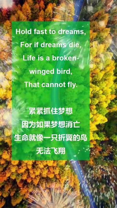 Hold fast to dreams,For if dreams die,Life is a broken-winged bird,That cannot fly.紧紧抓住梦想，因为如果梦想消亡，生命就像一只折翼的鸟，无法飞翔。