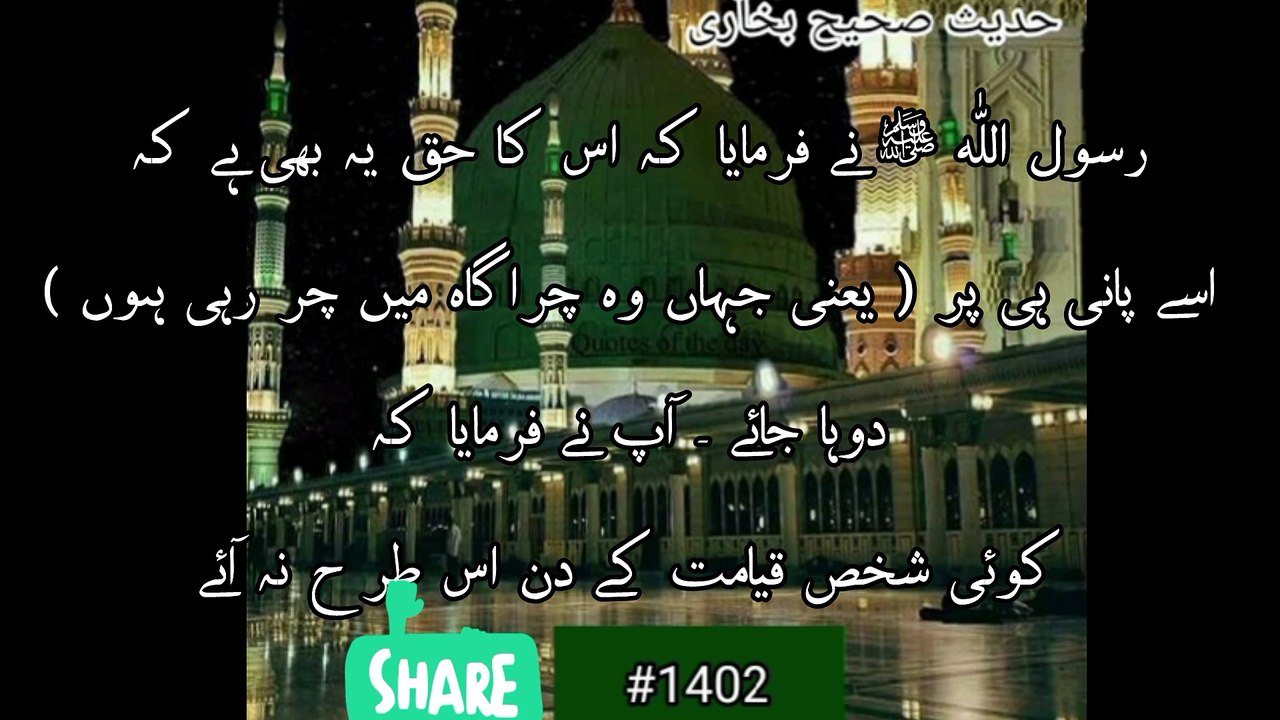جانوروں پر زکوٰۃ کا شرعیت کا حکم