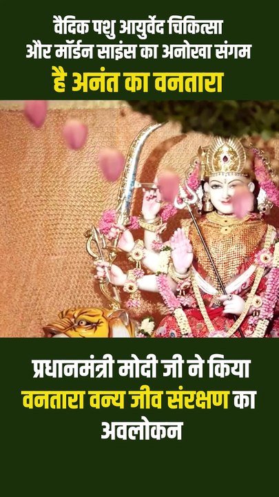 #Vantara में दुर्लभ वन्यजीवों की देखभाल अब पारंपरिक आयुर्वेद और आधुनिक चिकित्सा के मेल से हो रही है, एक नई दिशा, एक नई सोच