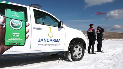 Van Gölü'nün misafirleri gitmedi, jandarma nöbete başladı