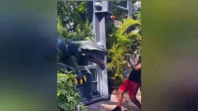 Funniest fails moments 😅🤣😂 Parr - 05 | Try Not To Laugh Funny Videos