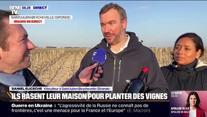 "Un travail très important de préparation du sol": ils rasent leur maison en Gironde construite sur un terrain classé AOC pour planter des vignes