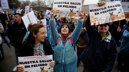 Los veterinarios siguen en pie de guerra contra la normativa tras la muerte de la perra Selva
