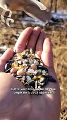 Ce coffre fort pourrait sauver l'humanité