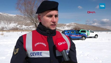 Jandarma 'flamingo' nöbetinde