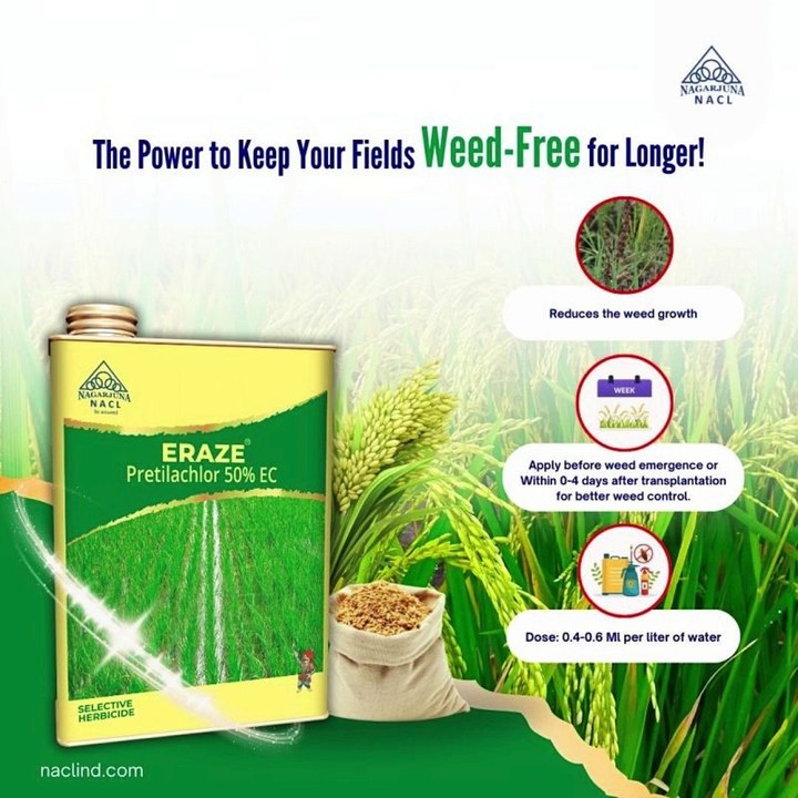 Plant Disease Management with Fungicides in India | NACL