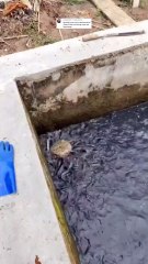 Kalau begini kejadian nya, ini bagus,jadi gak boros biaya