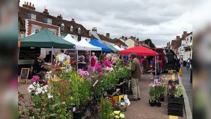 Petition calls to axe West Malling parking plans to 'save' town market