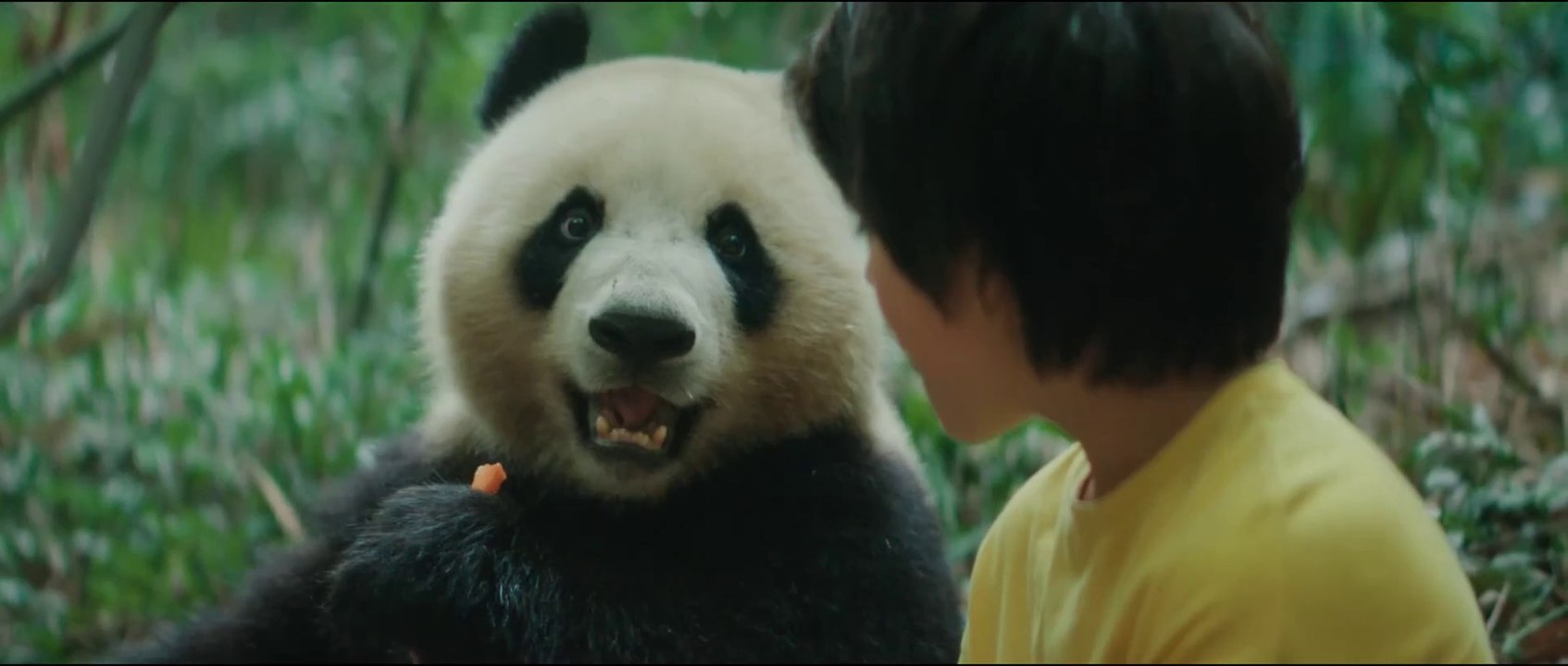 Moon the Panda - Official Trailer