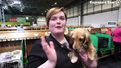 We take a look around Crufts on the first day at the NEC, Birmingham.