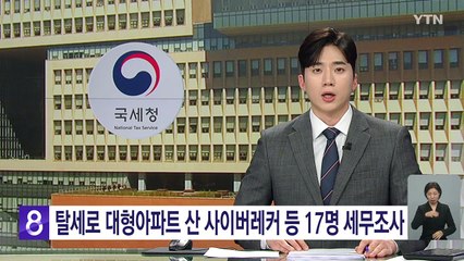 탈세로 대형 아파트 구입 사이버레커 등 유해 콘텐츠 제작자 대거 세무조사 / YTN