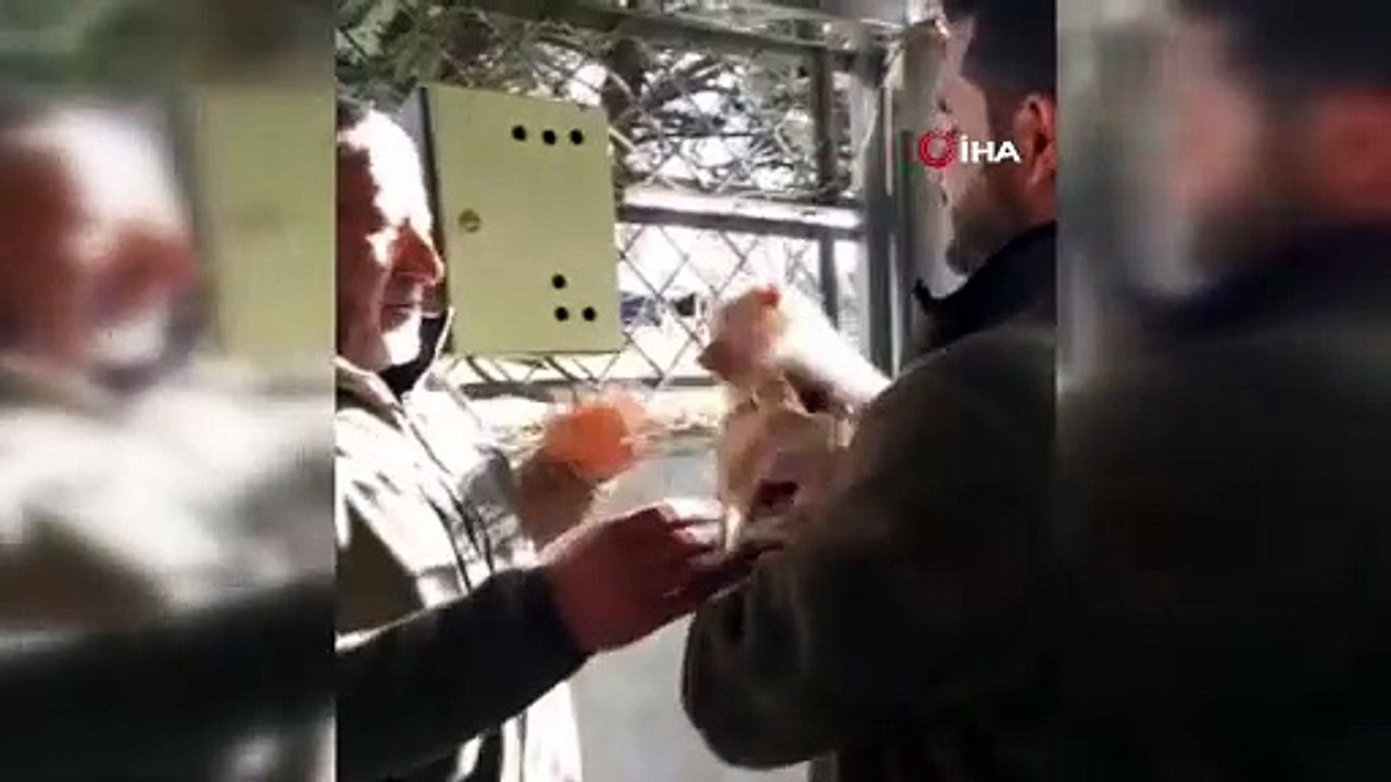 Şaka değil gerçek! Bir vatandaş sokakta yürürke...