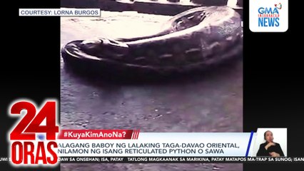 Alagang baboy ng lalaking taga-Davao Oriental, nilamon ng isang reticulated python o sawa | 24 Oras