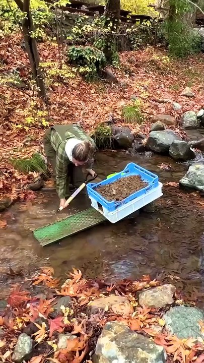 Hidden treasures! Discovering gold and gemstones in nature!