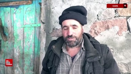 Kars'ta anomalili doğan buzağı şaşkınlığa neden oldu