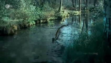 Spreewaldkrimi -17- Böses muss mit Bösem enden