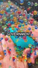 Little Johnny Learns The Truth