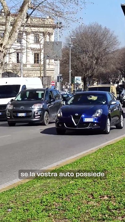 Tutto quello da sapere sullo Scudo Verde a Firenze