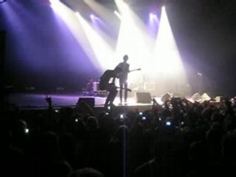 BB Brunes à Gre le 11 Avril