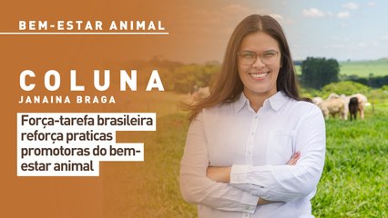Força-tarefa brasileira reforça praticas promotoras do bem-estar animal