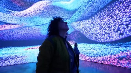 'Arquitectura viva: Gehry'