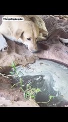 best friends, but everyone cares for each other 🥲