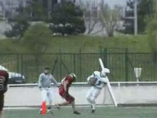 Td gibbus vs molosses