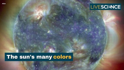 7 Dazzling Images Of The Sun