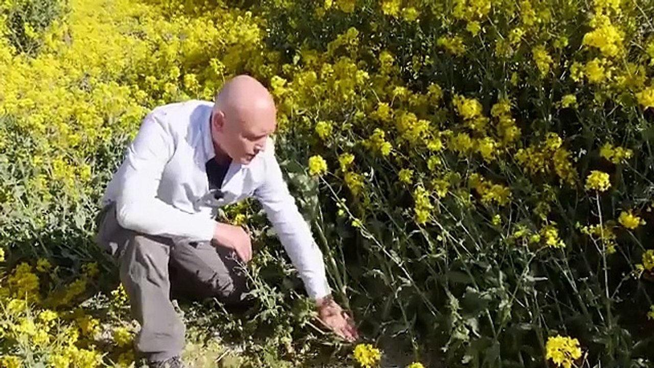 Unveiling the Mystery Crop Circle Realities Full Documentary Movie  Free Movie HD