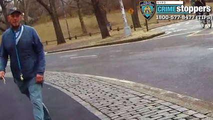 Man sought in Central Park stick attack