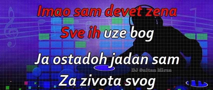 Imao sam, devet žena - Predrag Živković Tozovac (uživo karaoke)