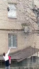 El Buen Samaritano: Un Ejemplo de Caridad y Compasión