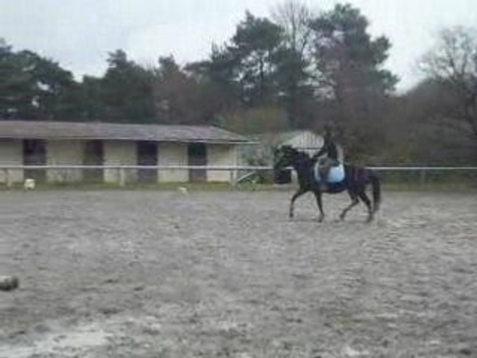Moi Et Harmonie