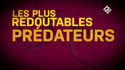 New York, section criminelle