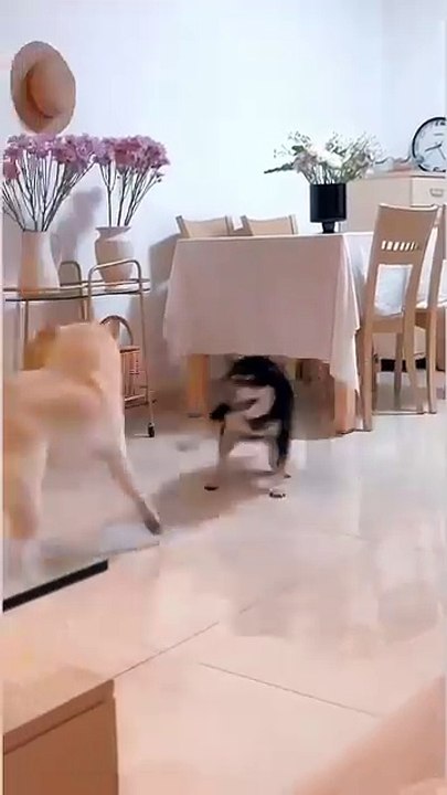 Skill to rotate ass like magic😂