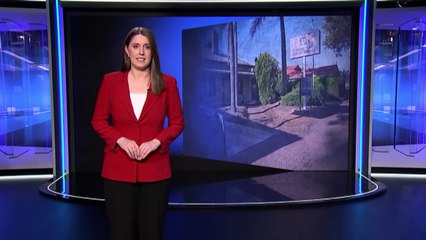 Disability Rights Group Faces Investigation Over Grant Management 🕵️‍♂️