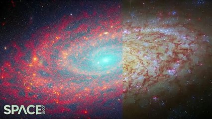 James Webb Space Telescope Delivers 4K Amazing View Of Spiral Galaxy