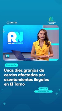 Unas diez granjas de cerdos afectadas por asentamientos ilegales en El Torno