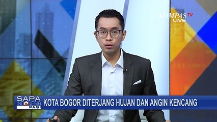 Kota Bogor Dilanda Hujan dan Angin Kencang, Arus Lalu Lintas Tertutup Pohon Tumbang