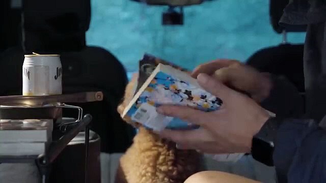 Camping Vlog . Perfect rainy day with my dog in the woods in the rain all day. Camping in the rain. ASMR