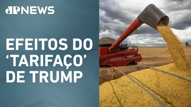 Guerra comercial pode impulsionar exportações agrícola brasileiras
