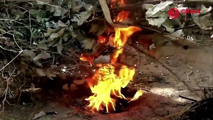 Blind Fury: One Strike, Total Annihilation | S01-EP02