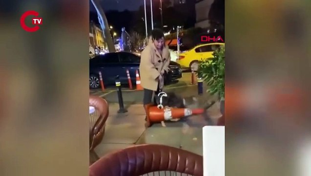 İstanbul- Bebek'te ağızlıksız gezdirilen pitbull dubaya saldırdı; sahibine 76 bin lira ceza kesildi