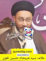علامہ صاحب کے مطابق امام مہدی علیہ سلام کی عمر یہ ہے