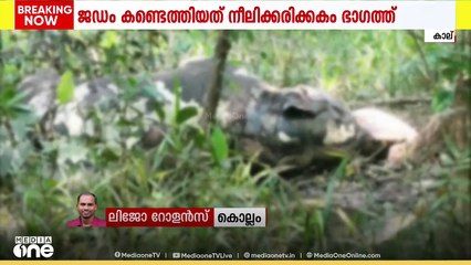 കൊല്ലം കുളത്തൂപ്പുഴയിൽ ഉൾവനത്തിൽ പിടിയാനയെ ചരിഞ്ഞ നിലയിൽ