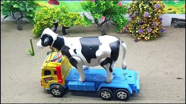 WADIDAU PROSES POTONG SAPI ‼️ SIMULASI POTONG SAPI l MANUSIA KARDUS,