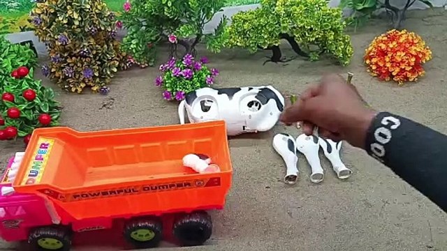 WADIDAU PROSES POTONG SAPI | Episode -1